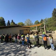 zoo