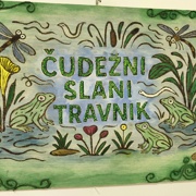 Slani travnik