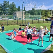 Ribe in Delfini na Mini olimpijadi